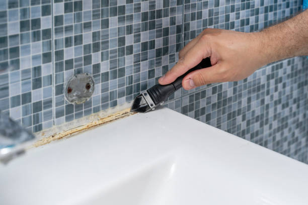Best Toxic Mold Removal  in Rogue River, OR
